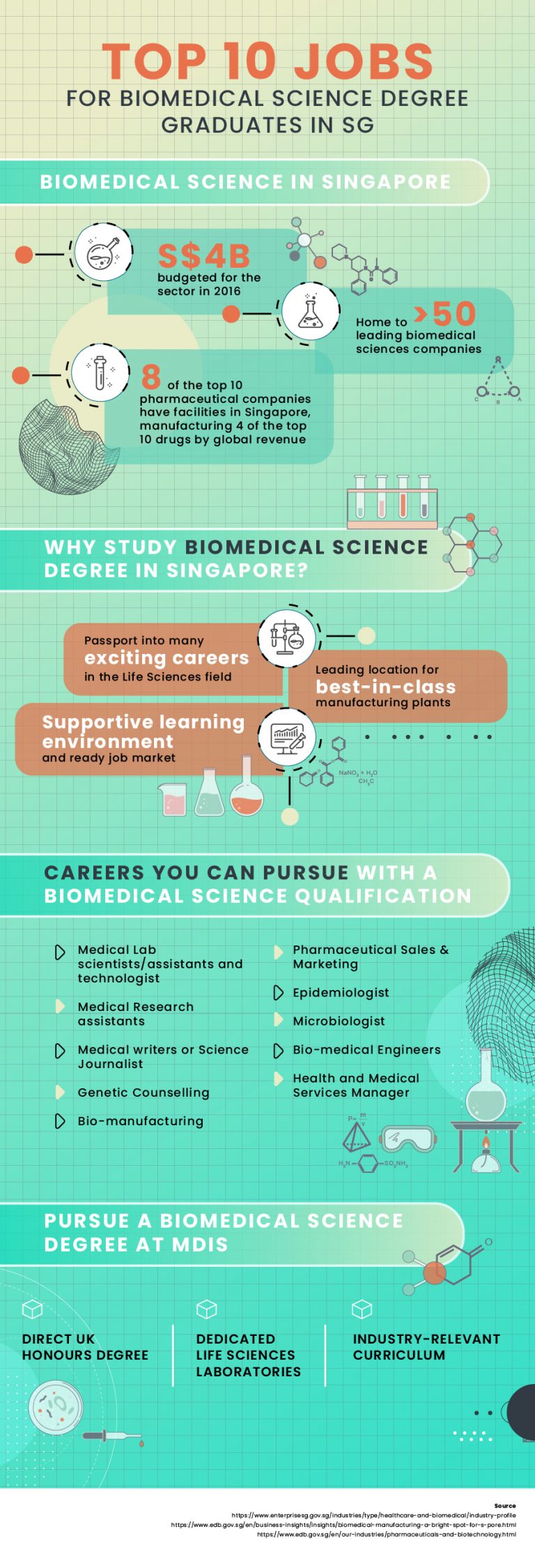 Top 10 Jobs For Biomedical Science Degree Graduates In SG MDIS Blog   MDIS SLS Infographic 900W 01 768x2236 